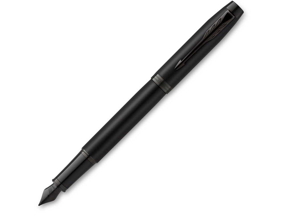 Перьевая ручка Parker IM Achromatic Matte Black BT