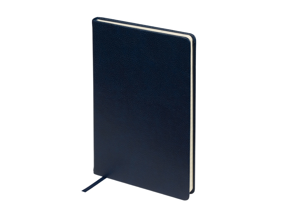 темно-синий/бежевый