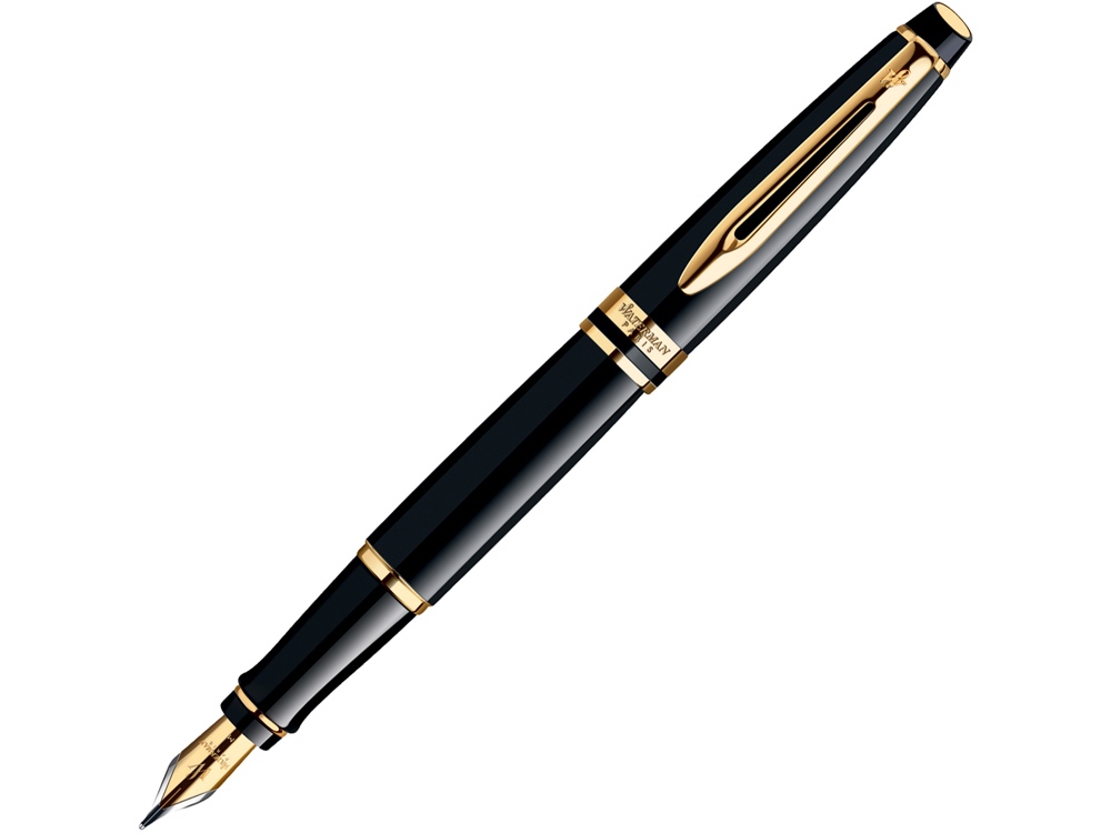 Перьевая ручка Waterman Expert 3, цвет: Black Laque GT