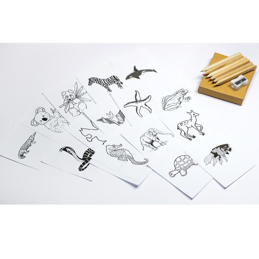 Набор цветных карандашей с раскрасками и точилкой"Figgy", 7,4х9х1,5см, дерево, картон, бумага