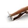 Шариковая ручка Pininfarina Piuma LEONARDO PEAR WOOD small_img_4