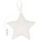 Декоративная подвеска Party Star small_img_5