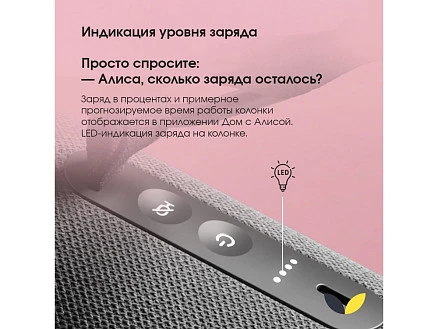 Умная портативная колонка Яндекс Станция Стрит с Алисой, черный (YNDX-00030BLK)