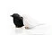 Набор для специй Sparrow Salt   Pepper small_img_2