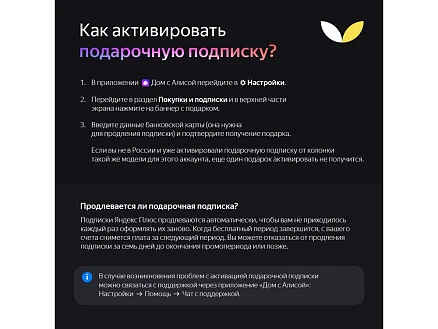 Умная портативная колонка Яндекс Станция Стрит с Алисой, черный (YNDX-00030BLK)
