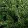 Искусственная ель Ms.Tree, 180 см small_img_2