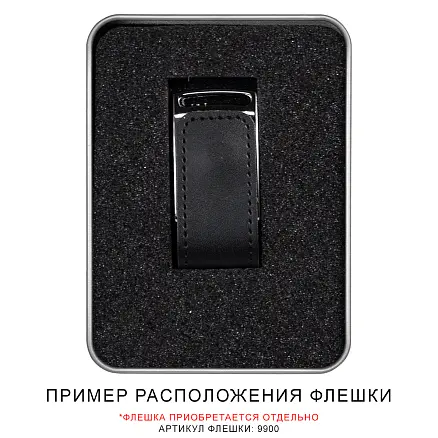 Футляр Shine для флеш накопителя металлический, размер 11,5*8,5 см, серебристый