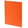 Ежедневник Flat Light, недатированный, оранжевый small_img_4