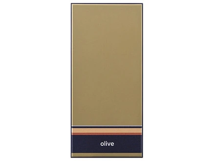 Внешний аккумулятор Rombica NEO ARIA WIRELESS OLIVE, оливковый