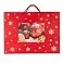 Пакет малый  RED WONDER 32*27*11 см, красный small_img_2