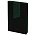 Ежедневник Bookmark, недатированный, черный с зеленым_недатированный