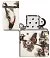 Зажигалка ZIPPO Spazuk Design с покрытием 540 Matte, латунь/сталь, разно small_img_4