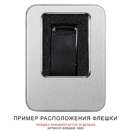 Футляр Shine для флеш накопителя металлический, размер 11,5*8,5 см, серебристый