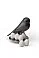 Набор магнитов Egg Sparrow, черный small_img_1