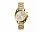 Часы наручные, женские. Michael Kors_БРАСЛЕТ - ЖЕЛТОЕ ЗОЛОТО, КОРПУС - ЖЕЛТОЕ ЗОЛОТО, ЦИФЕРБЛАТ - ЖЕЛТОЕ ЗОЛОТО