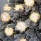 Гирлянда Froufrou small_img_1