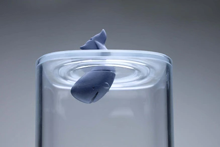 Контейнер Moby Whale Ocean