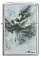 Зажигалка ZIPPO Luis Royo с покрытием Street Chrome, латунь/сталь, серебристая, 38x13x57 мм small_img_2